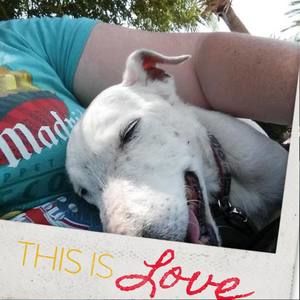 Meet your Posher, Jennice